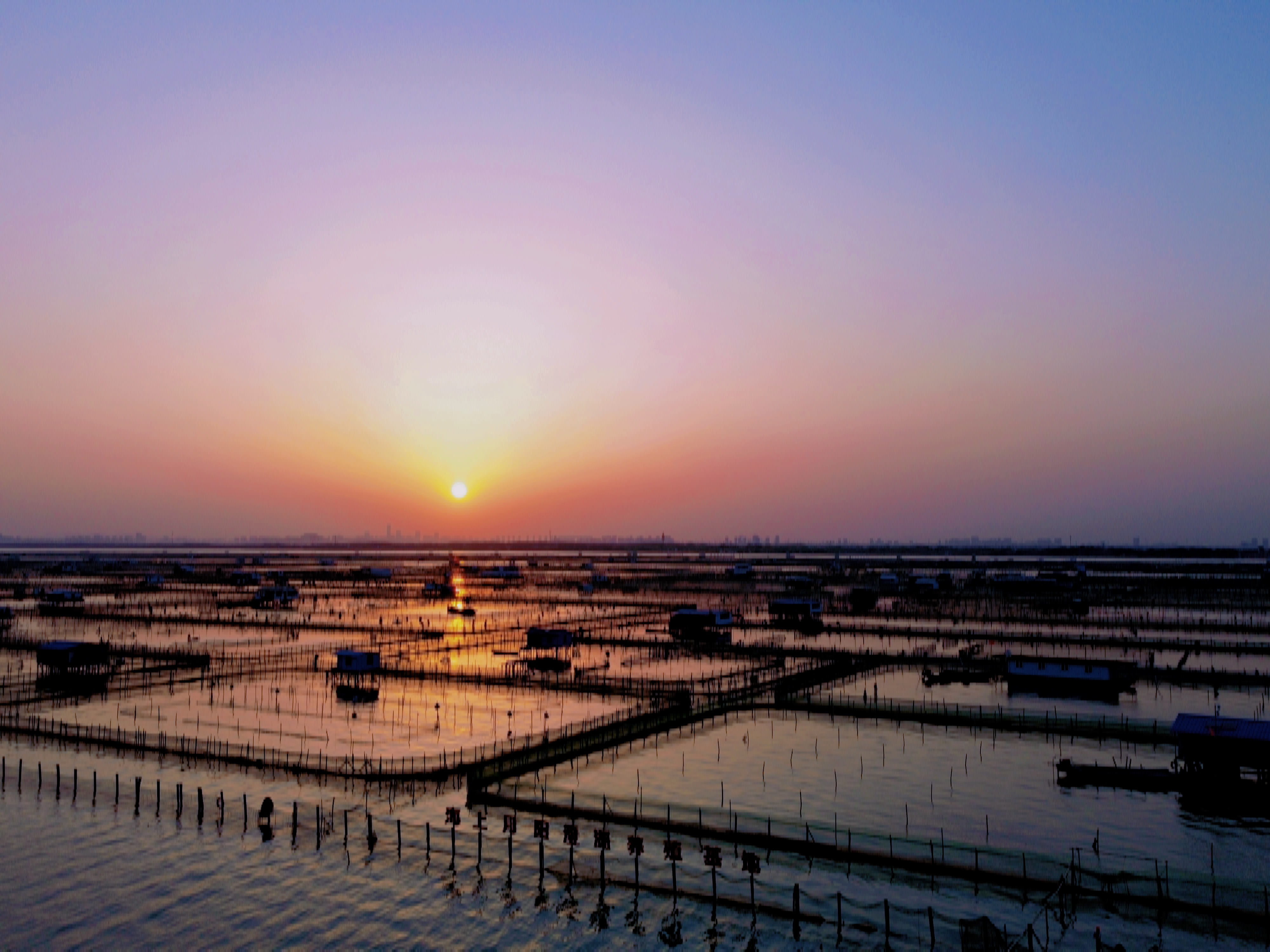 海上月大闸蟹<br>以蟹言谢 礼赠天下