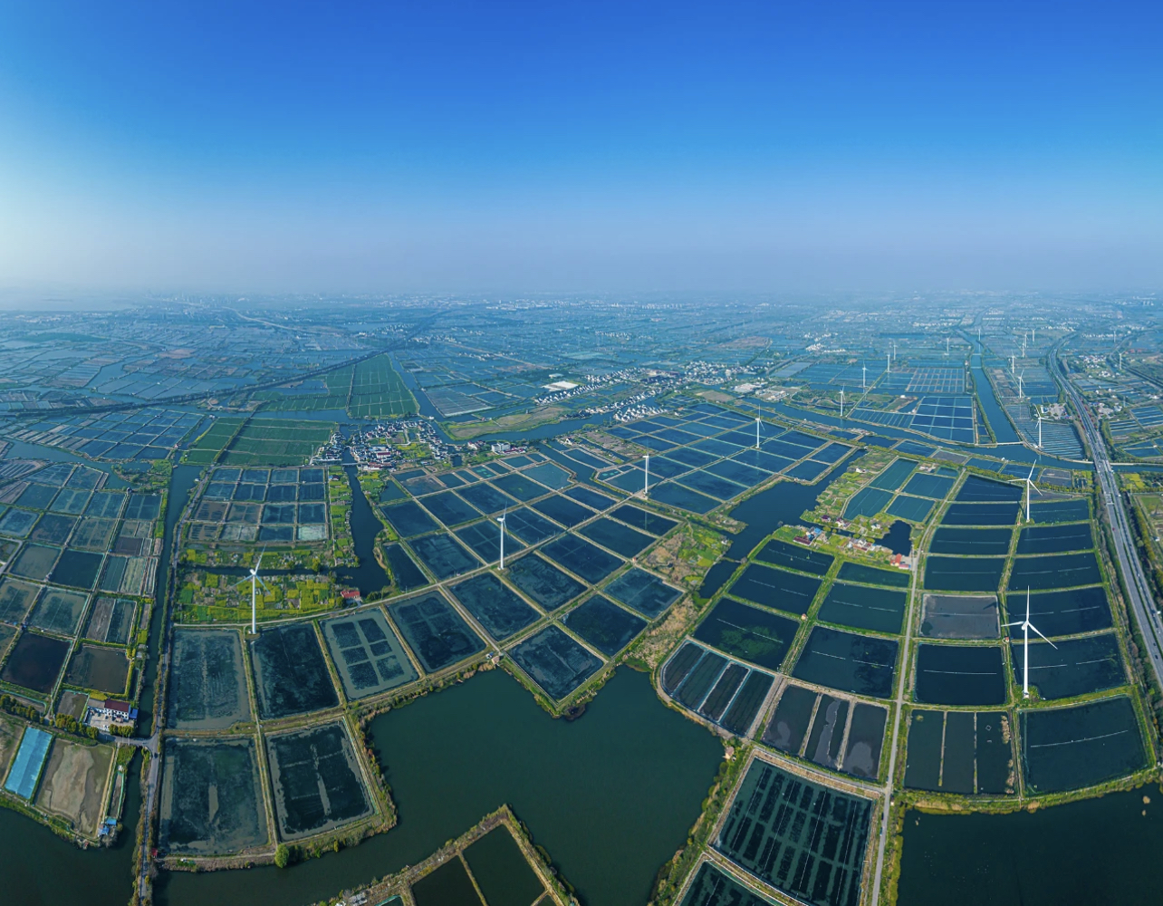 蟹卡在手，全国通兑