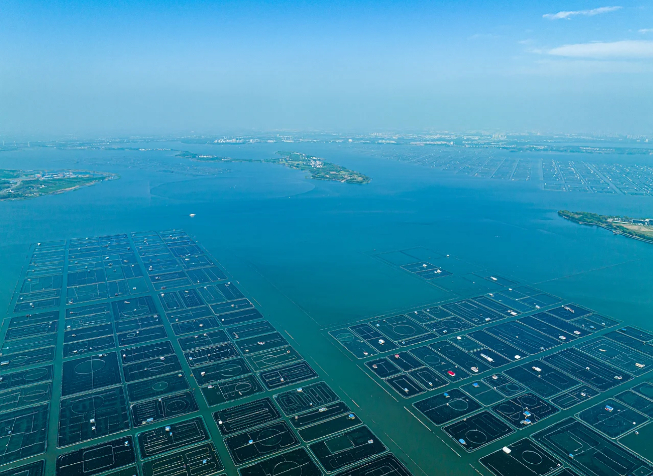 鲜活直达，冷链护航